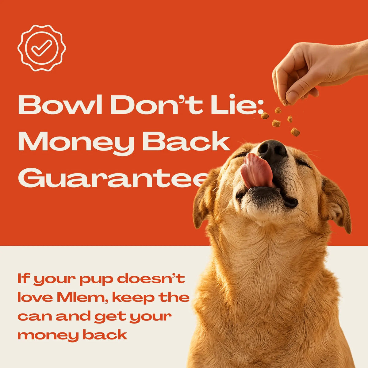 Mlem Beef Topper Spray for Dogs - Nutritional Enhancement for Pet Food