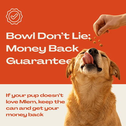 Mlem Beef Topper Spray for Dogs - Nutritional Enhancement for Pet Food