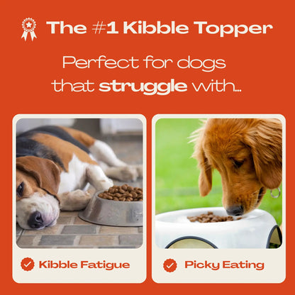 Mlem Beef Topper Spray for Dogs - Nutritional Enhancement for Pet Food