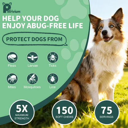 Petrivium Natural Flea & Tick Support Soft Chews for Dogs - 150 Count, Pesticide-Free Vitamin Supplement with Rosemary Repellent, Chicken Flavor, Ideal for Puppies and All Breeds/Sizes