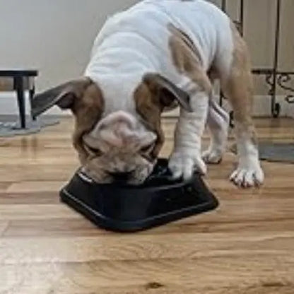 Large Dog Slow Feeder Bowl with Food-Safe Anti-Choke Puzzle Design