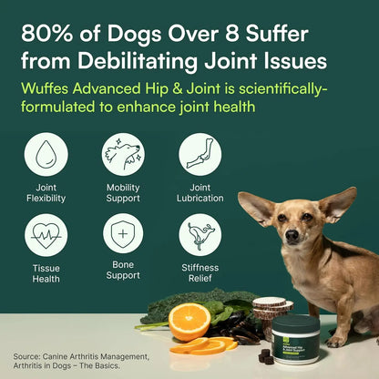 Wuffes Hip & Joint Chews for Dogs - Mobility Support Supplement - Suitable for Small Breeds & Large Breeds - Made in USA - 60 Soft Chews