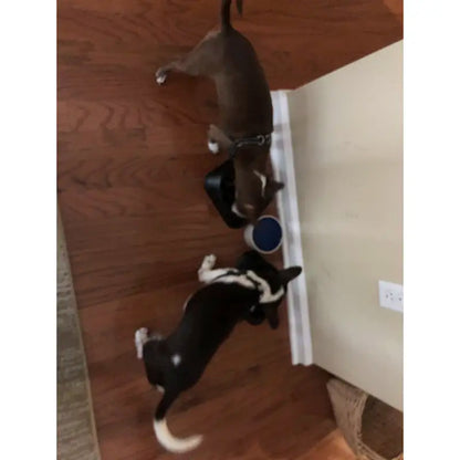 Large Dog Slow Feeder Bowl with Food-Safe Anti-Choke Puzzle Design
