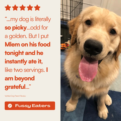 Mlem Beef Topper Spray for Dogs - Nutritional Enhancement for Pet Food