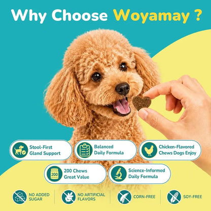 Anal Gland Chews for Dogs - 200 Count with Pumpkin Probiotics & Digestive Enzymes, Advanced Formula to Alleviate Scooting and Odor, Chicken Flavor