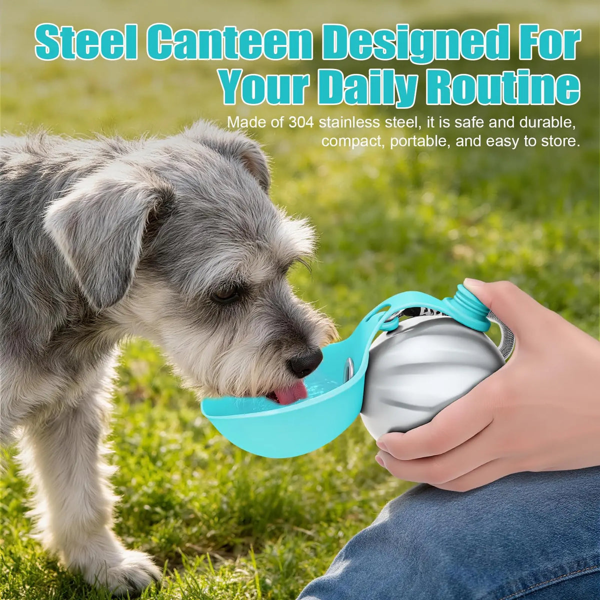 Lumikata 2-in-1 Portable Dog Water Bottle with Silicone Foldable Bowl - 10 oz Stainless Steel, Leak-Proof Design for Small Dogs, Perfect for Walks and Feeding