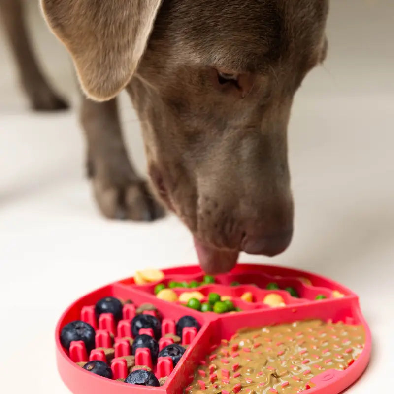 Calming Dog Lick Mat - Enrichment Mat with Suction Cups and Freezer-Safe Design in Green