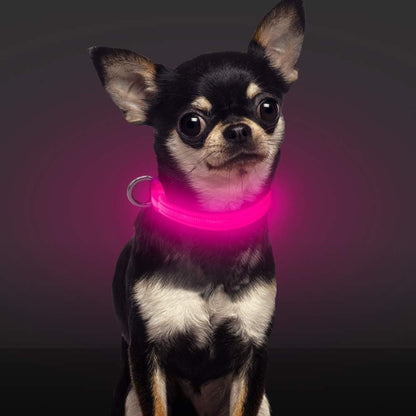 Illuminated Pink Collar for Small Dogs and Cats (XS Size)