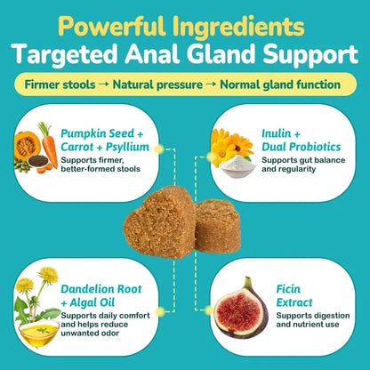 Anal Gland Chews for Dogs - 200 Count with Pumpkin Probiotics & Digestive Enzymes, Advanced Formula to Alleviate Scooting and Odor, Chicken Flavor